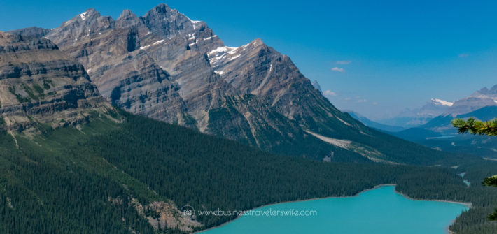 Featured Image Scenic Summer Roadtrip to the Canadian Rockies Peyto Lake
