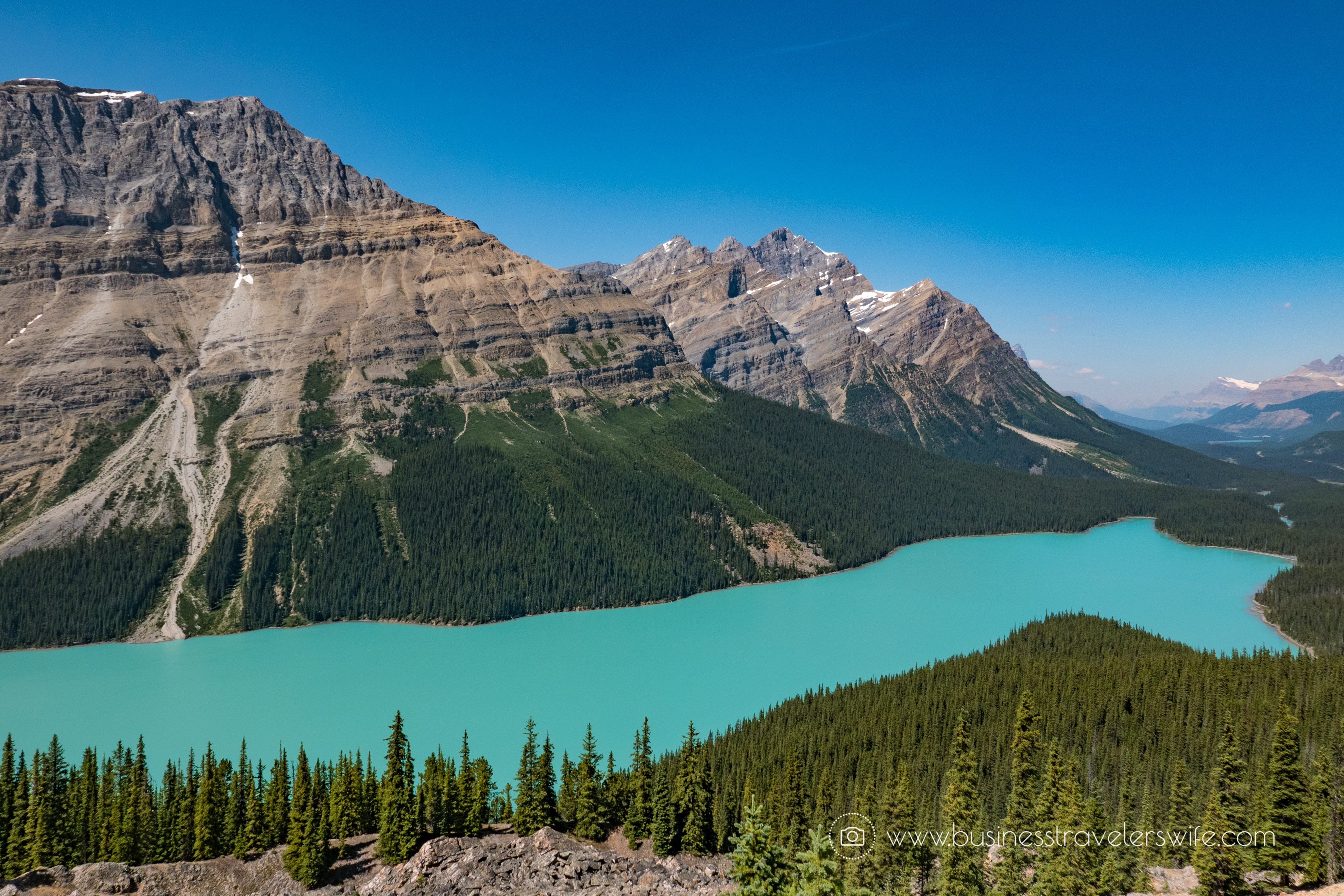 Flipboard Scenic Summer Roadtrip to the Canadian Rockies Peyto Lake (1 of 1)-2