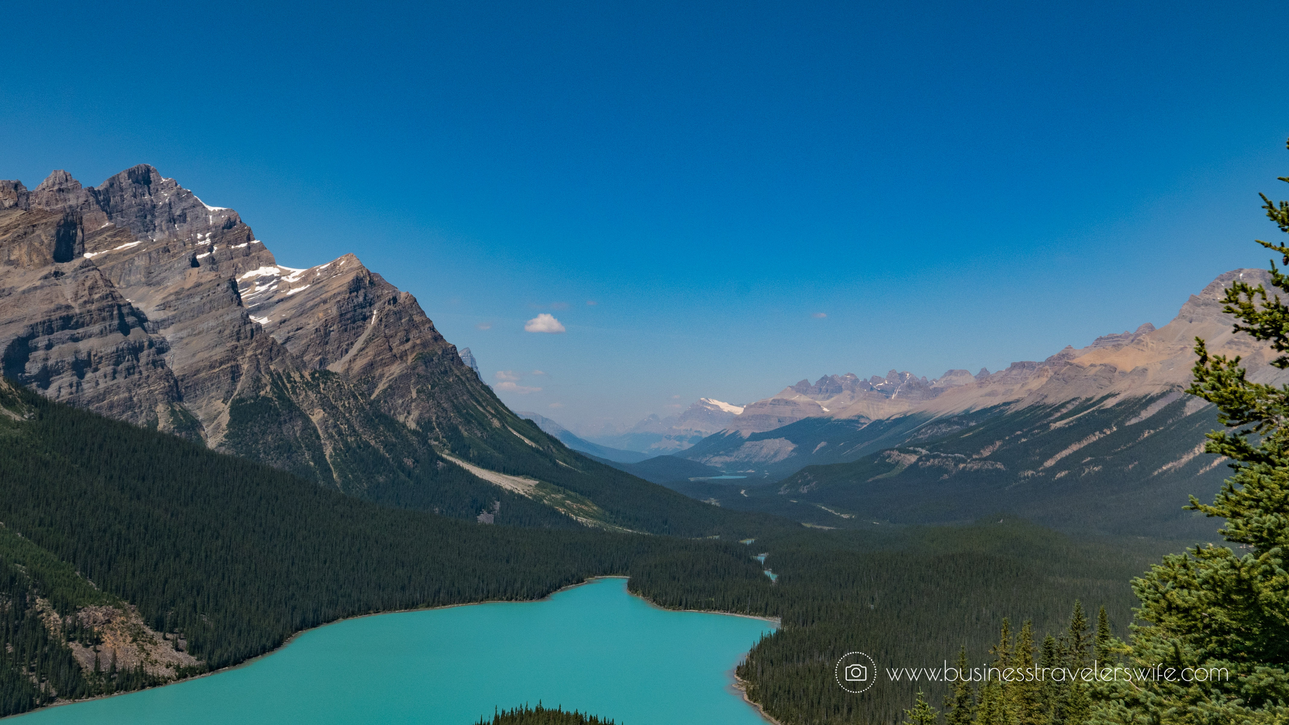 Scenic Summer Roadtrip to the Canadian Rockies Peyto Lake
