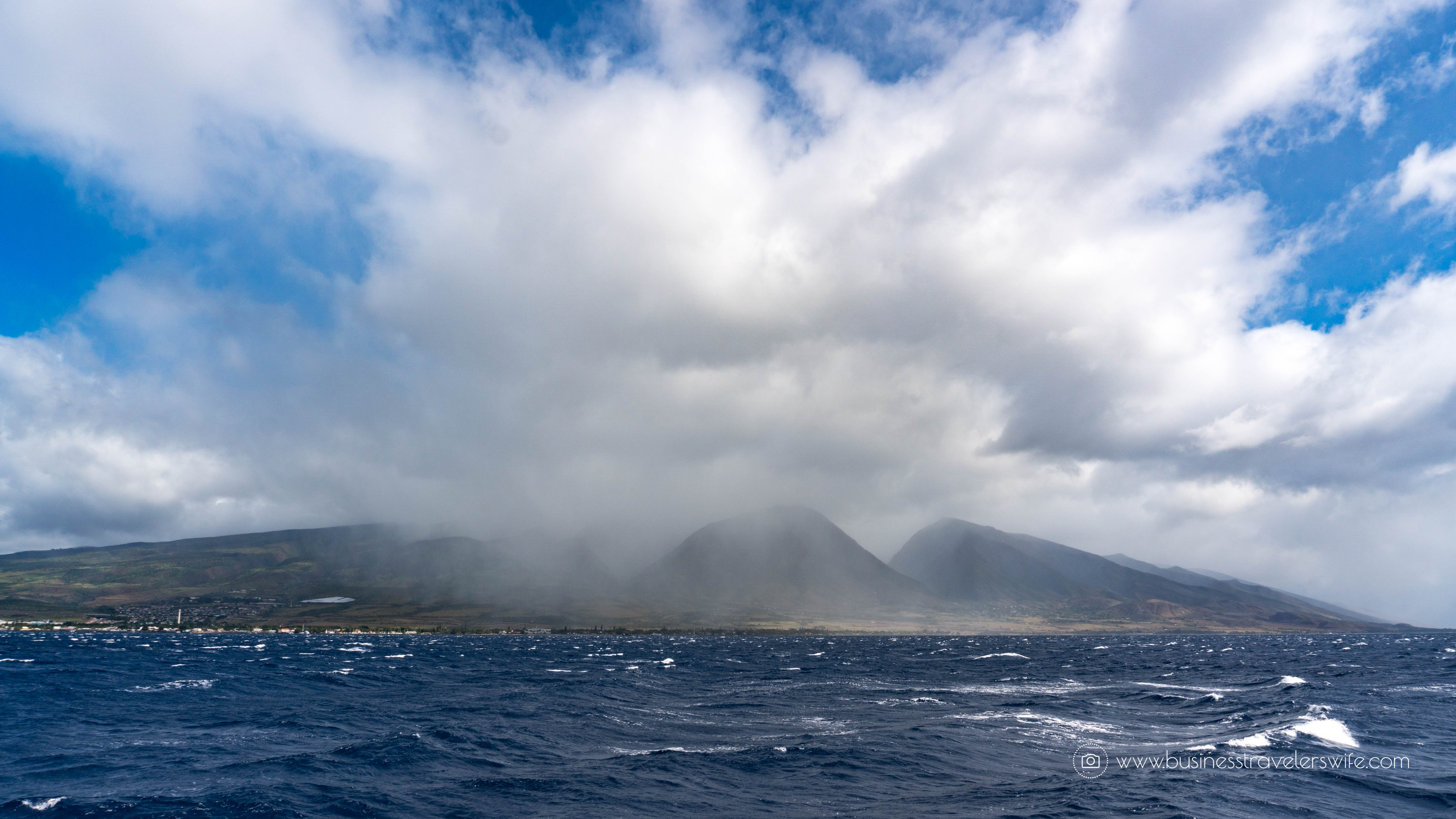10 Things to Know Before You Go Whale Watching in Maui Hawaii