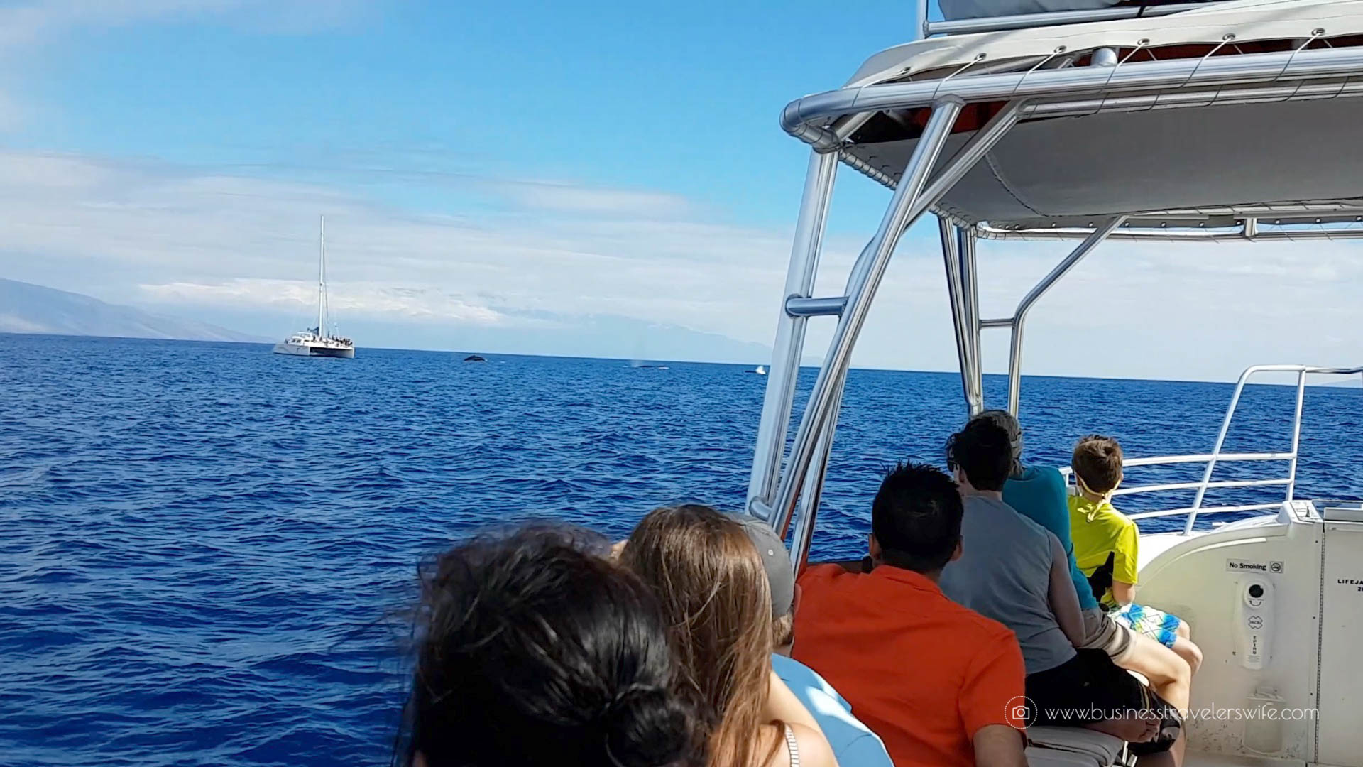 10 Things to Know Before You Go Whale Watching in Maui Hawaii tour Humpback whale