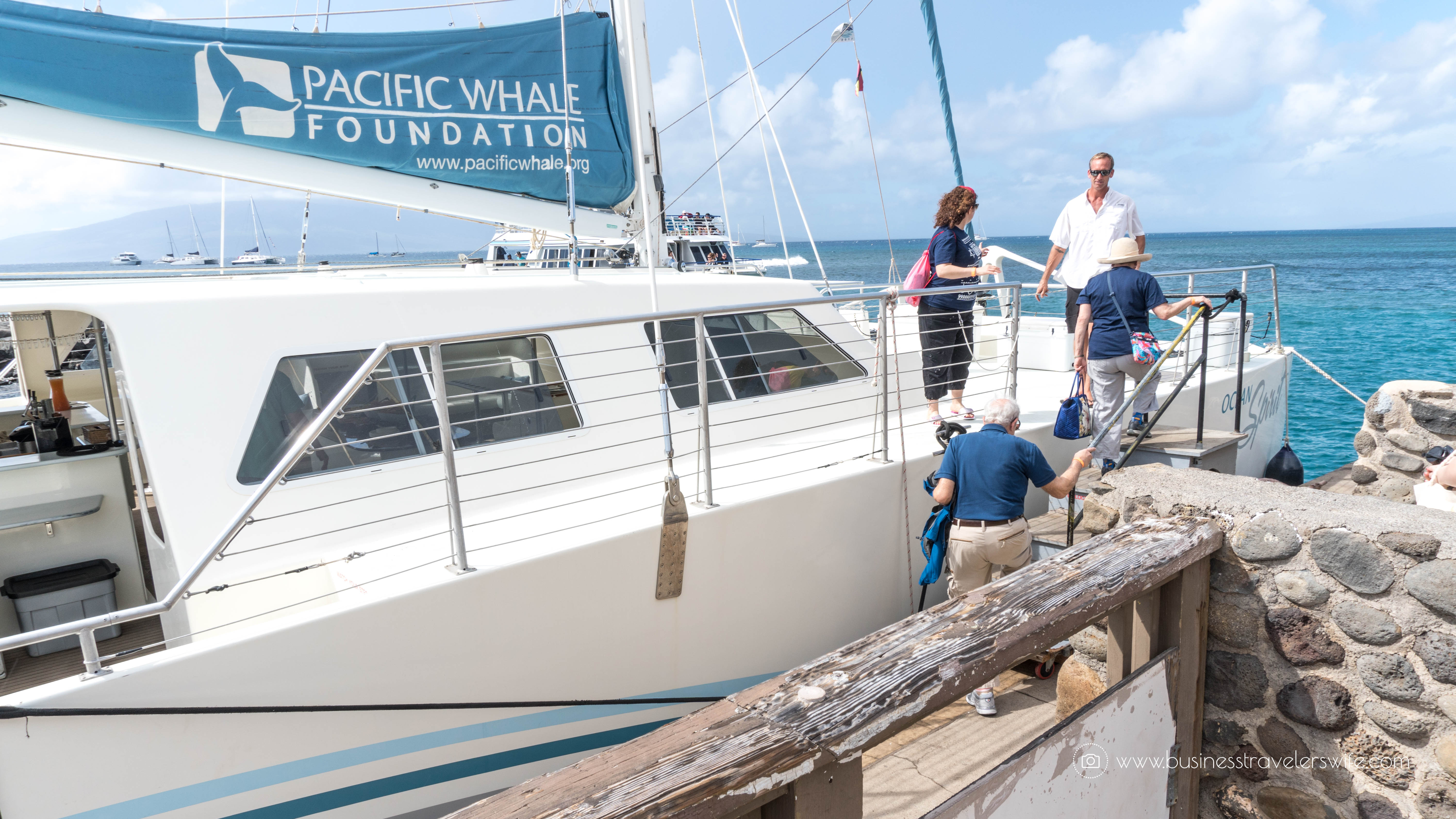 10 Things to Know Before You Go Whale Watching in Maui Pacific Whale Foundation