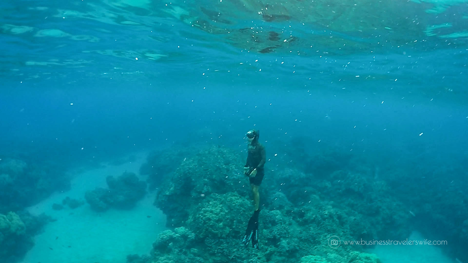 Kayak and Snorkel Tour in Maui, Hawaii with Maui Kayak Adventures-14