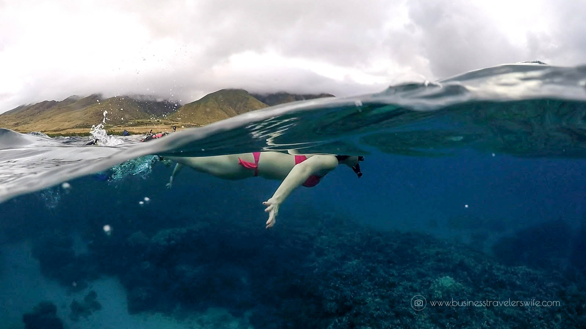 Photo Credit: Curtis of Maui Kayak Adventures