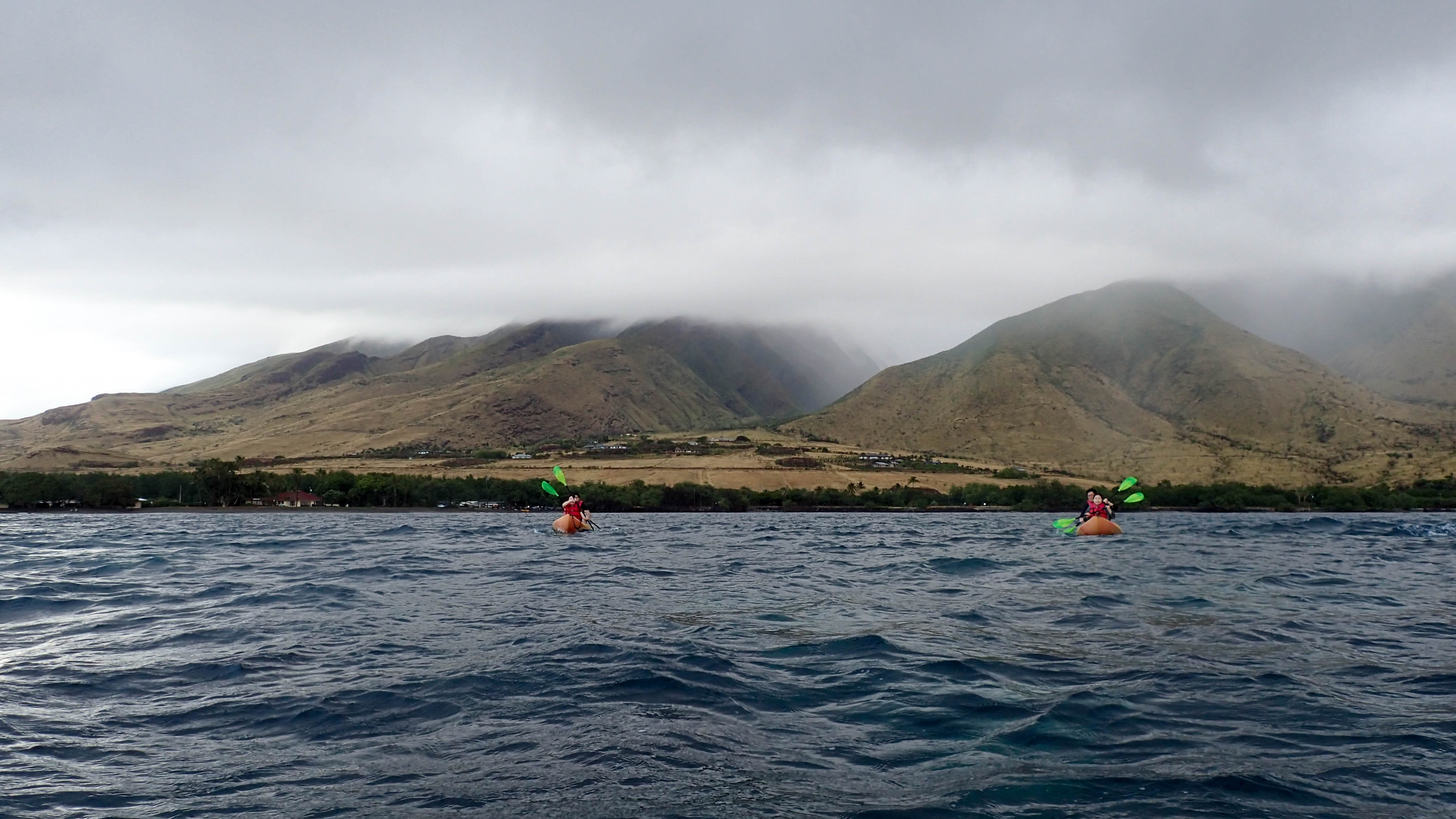 Kayak and Snorkel Tour in Maui, Hawaii with Maui Kayak Adventures