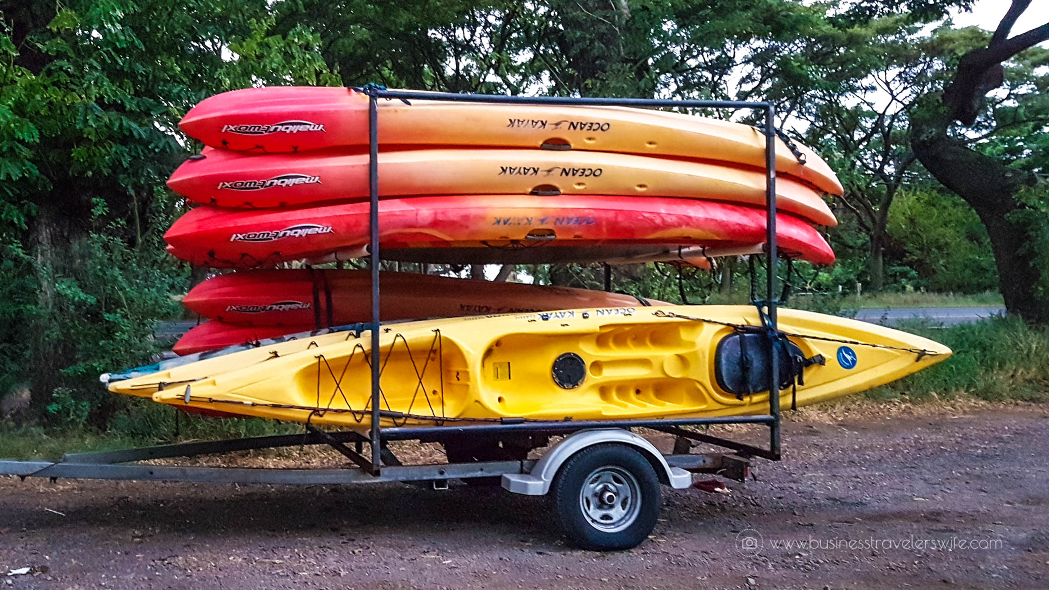 Kayak and Snorkel Tour in Maui, Hawaii with Maui Kayak Adventures