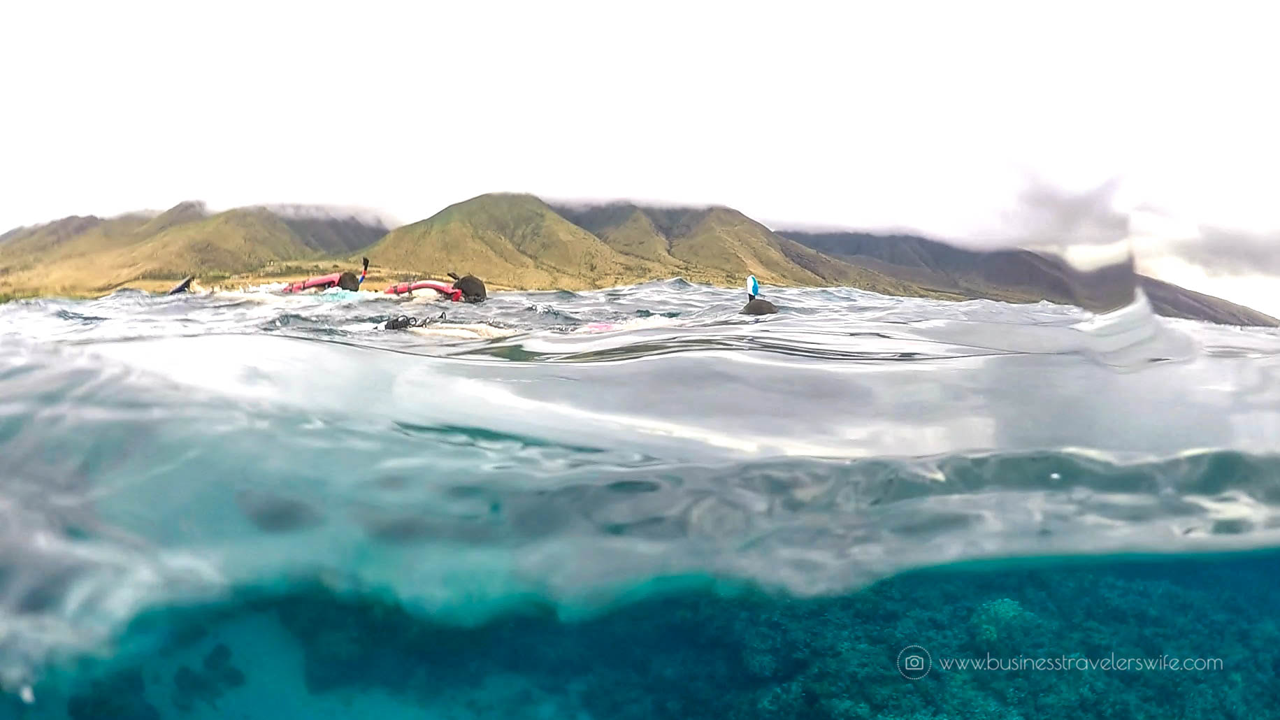 Kayak and Snorkel Tour in Maui, Hawaii with Maui Kayak Adventures