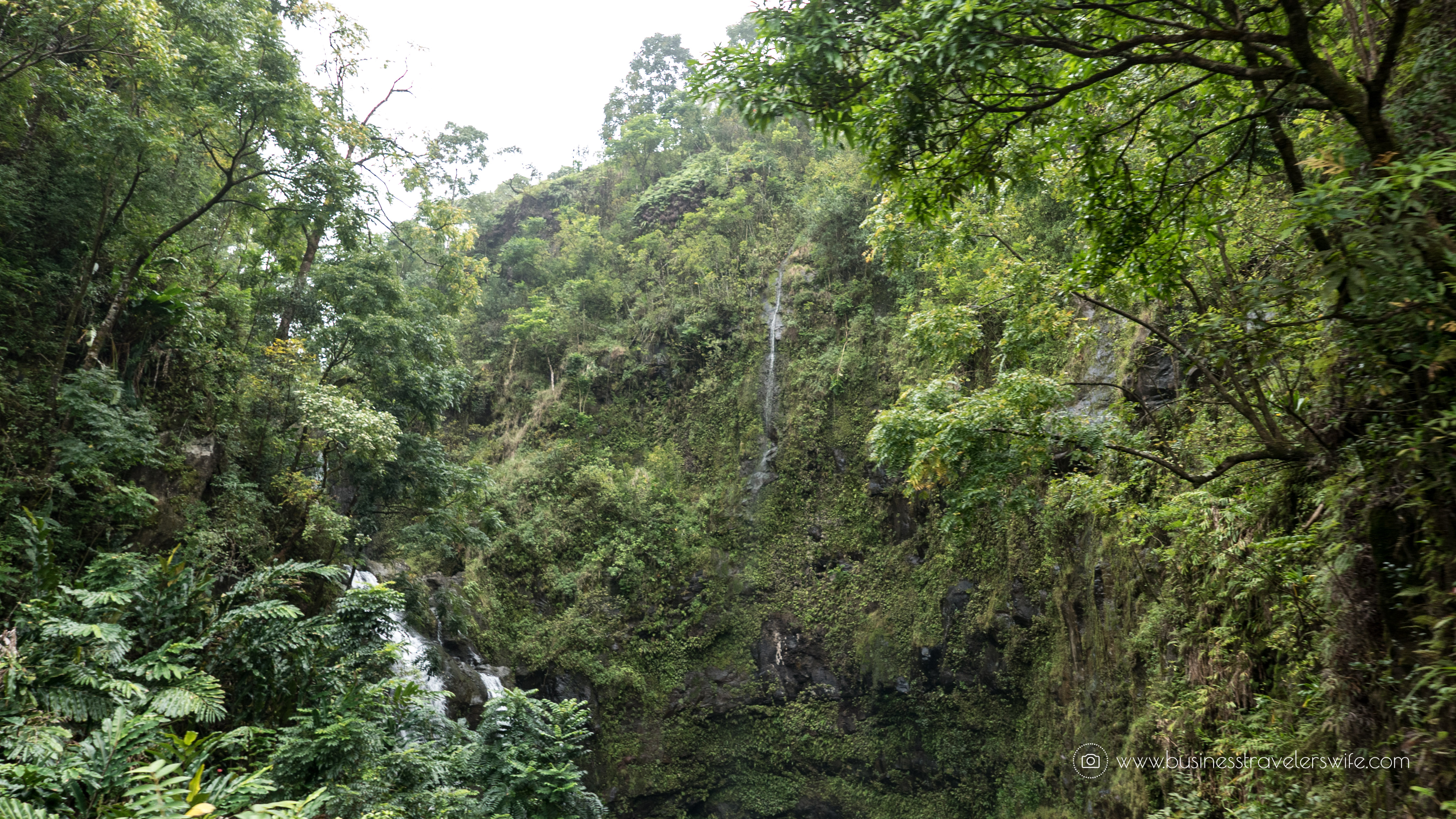 10 Memorable Stops in Road to Hana for A Self-Drive Tour Maui, Hawaii 3 Bear Falls or Upper Waikani Falls