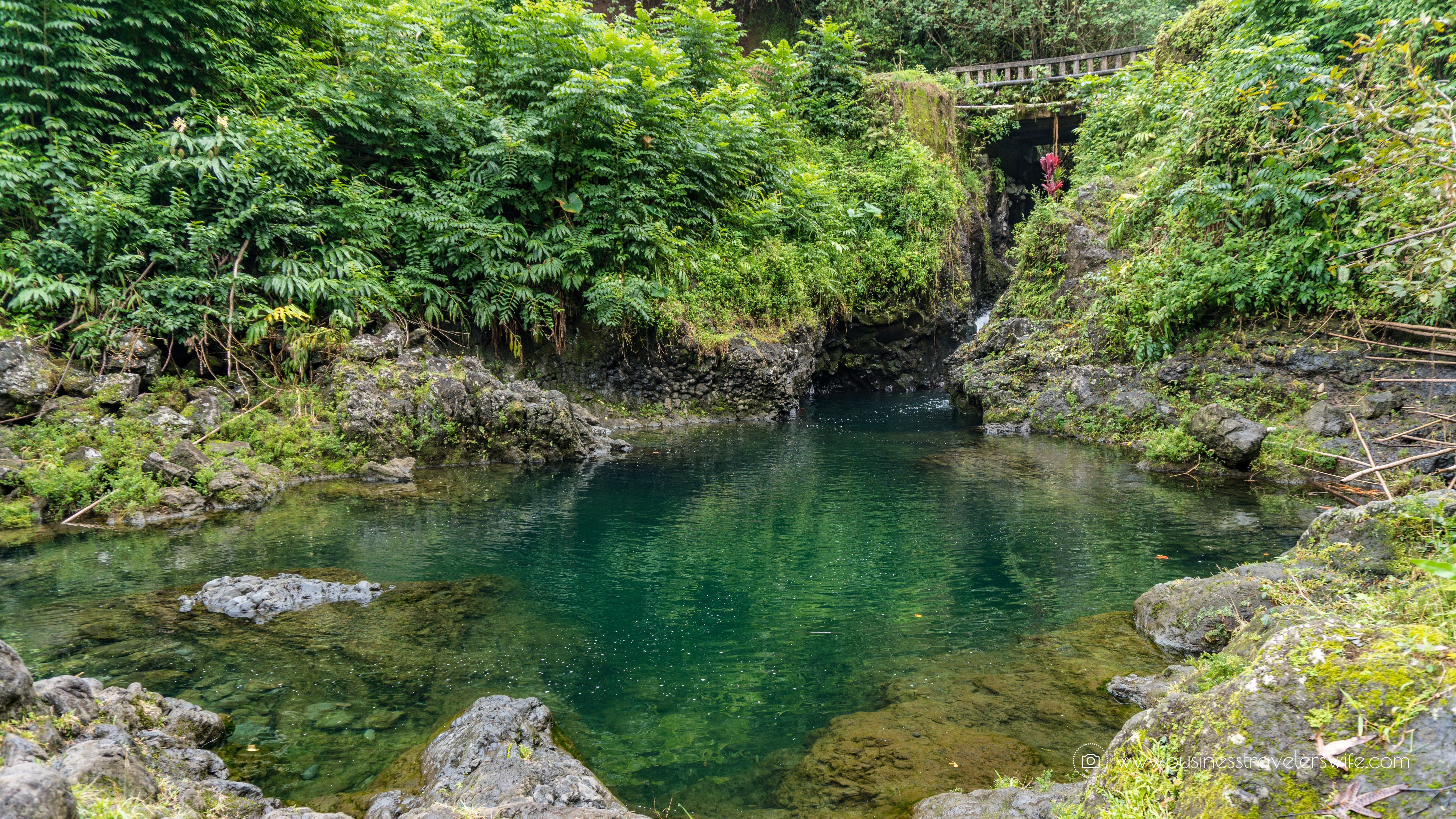 10 Memorable Stops on the Road to Hana for A Self-Drive Tour Maui, Hawaii Ching's Pond