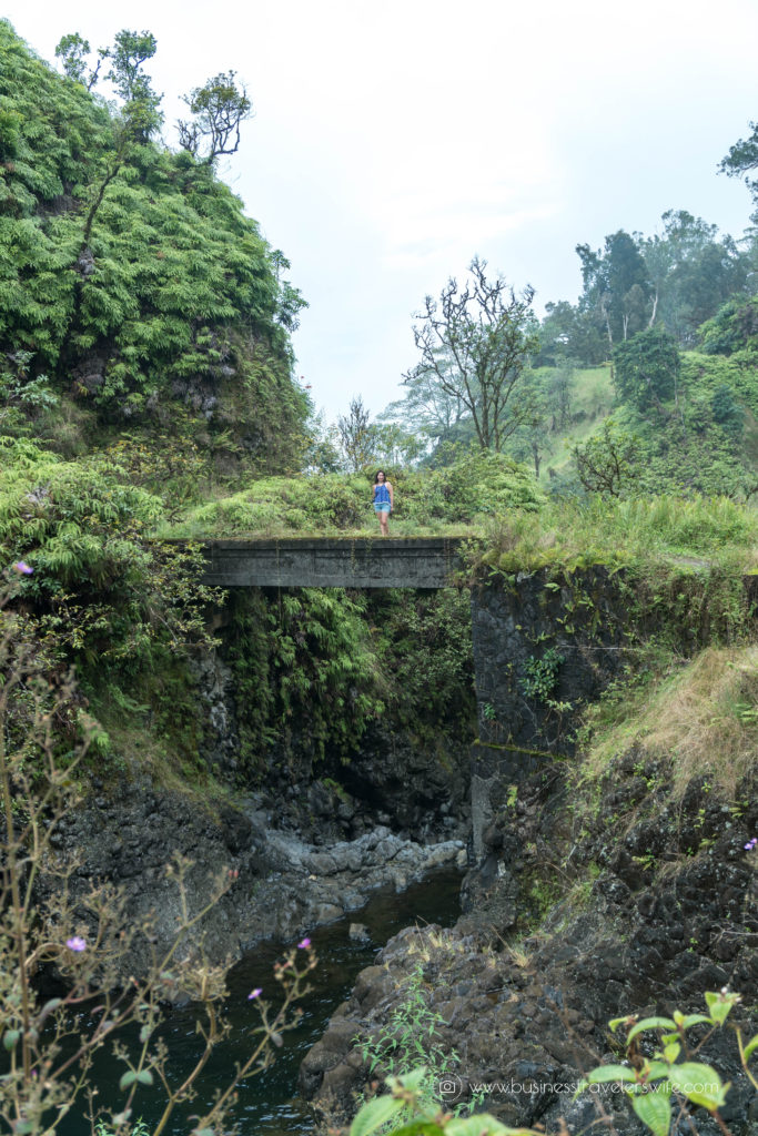 10 Memorable Stops in Road to Hana for A Self-Drive Tour Maui, Hawaii Wailuaiki Falls Hidden Waterfalls