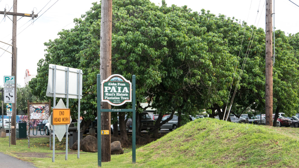 10 Memorable Stops on the Road to Hana for A Self-Drive Tour Wailua Falls Maui, Hawaii Paia