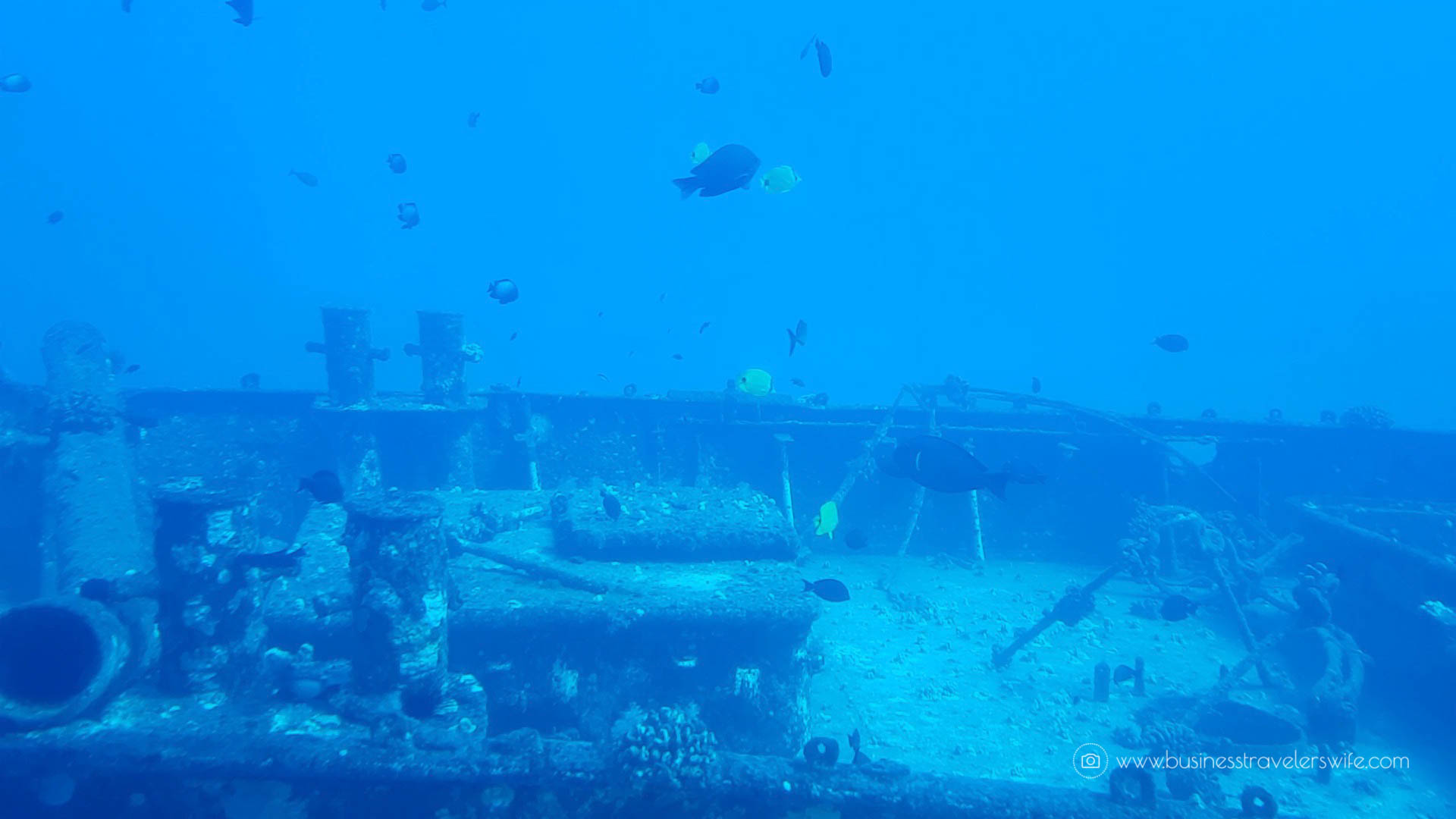 Crossing Off the Bucketlist- Ride a Submarine and Explore the Deep Sea Atlantis Submarines Anchor Underwater Adventure Sunken Ship-2