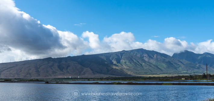 FI Visiting Haleakala Crater, Iao Valley and Other Interesting Stops in Maui Valley Isle Excursions Tour Kealia Iao Valley