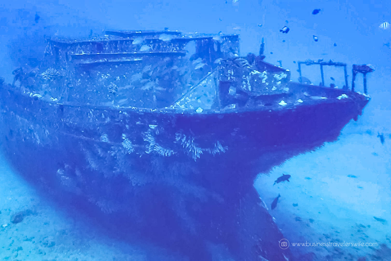 Crossing Off the Bucketlist- Ride a Submarine and Explore the Deep Sea Atlantis Submarines Anchor Underwater Adventure
