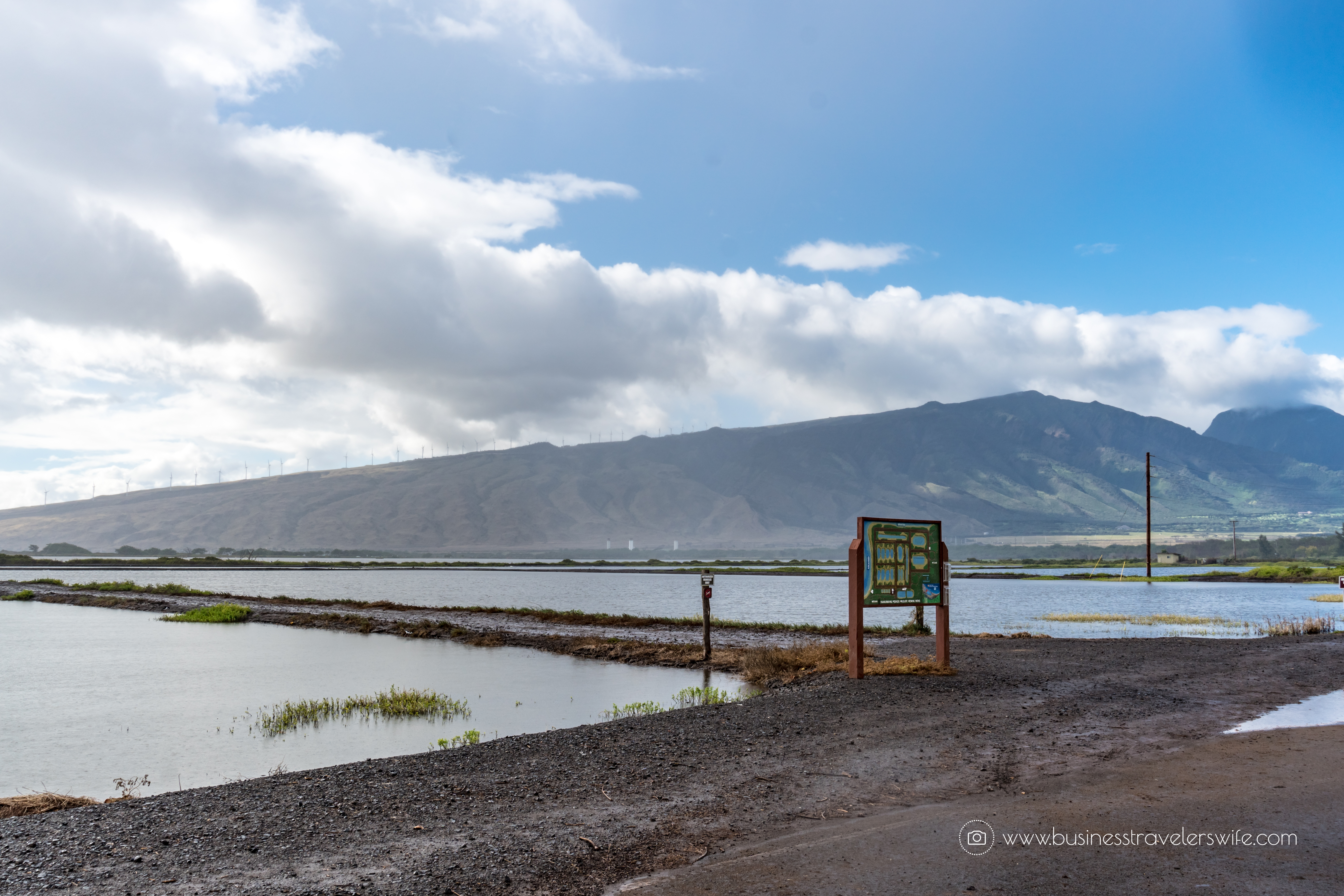 Visiting Haleakala Crater, Iao Valley and Other Interesting Stops in Maui Valley Isle Excursions Tour Kealia National Wildlife Refuge (2)