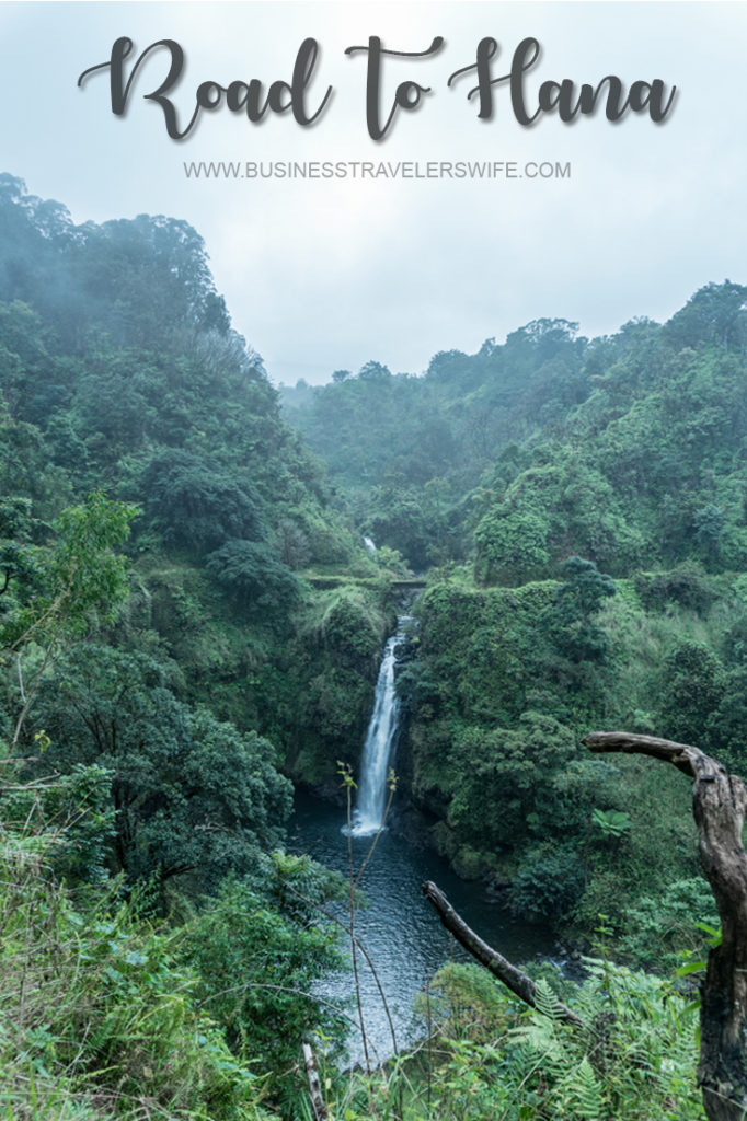 10 Memorable Stops in Road to Hana for A Self-Drive Tour Maui, Hawaii