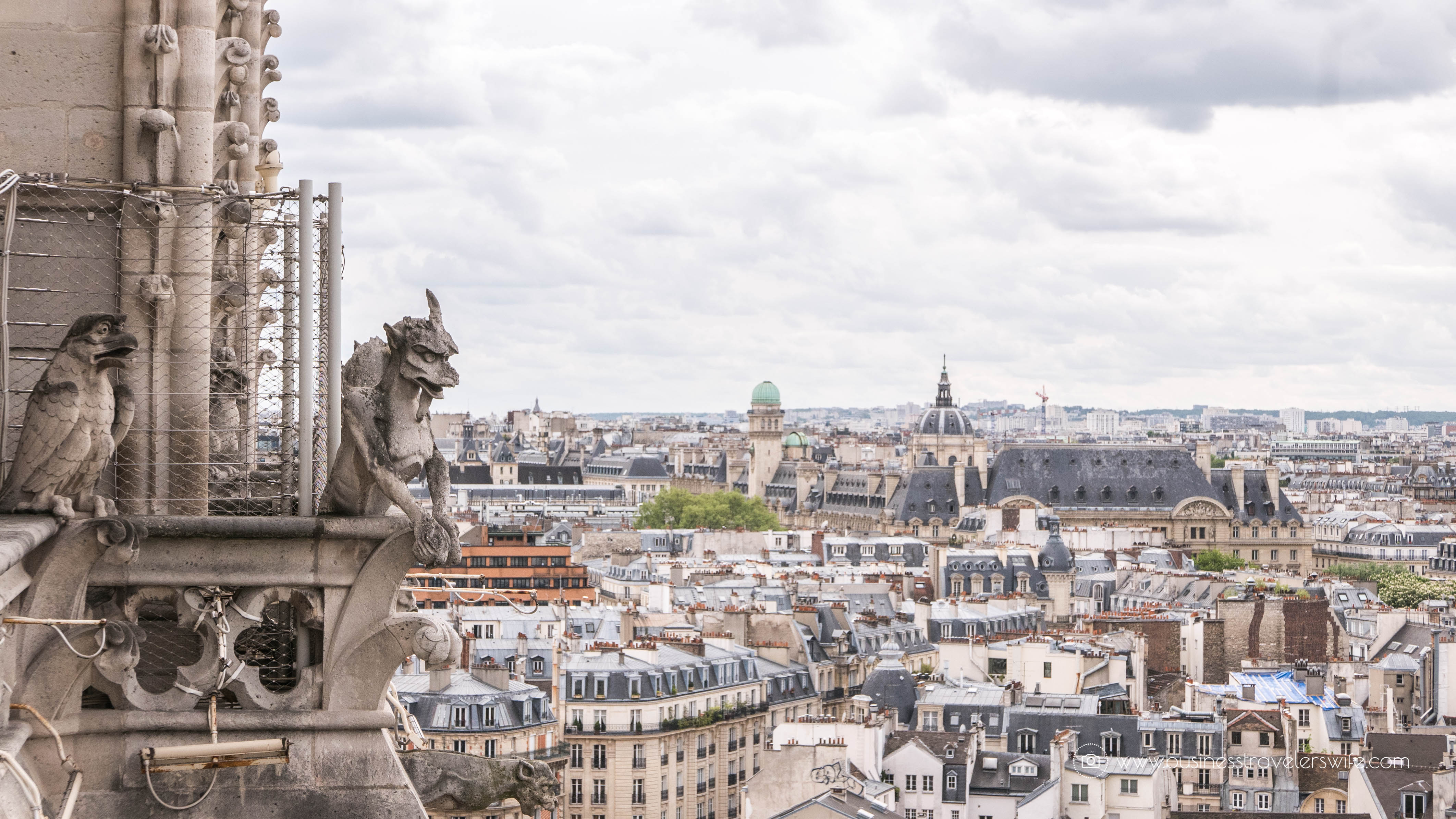 Beautiful Sights in Paris You Shouldn't Miss Notre-Dame Tower Gargoyles