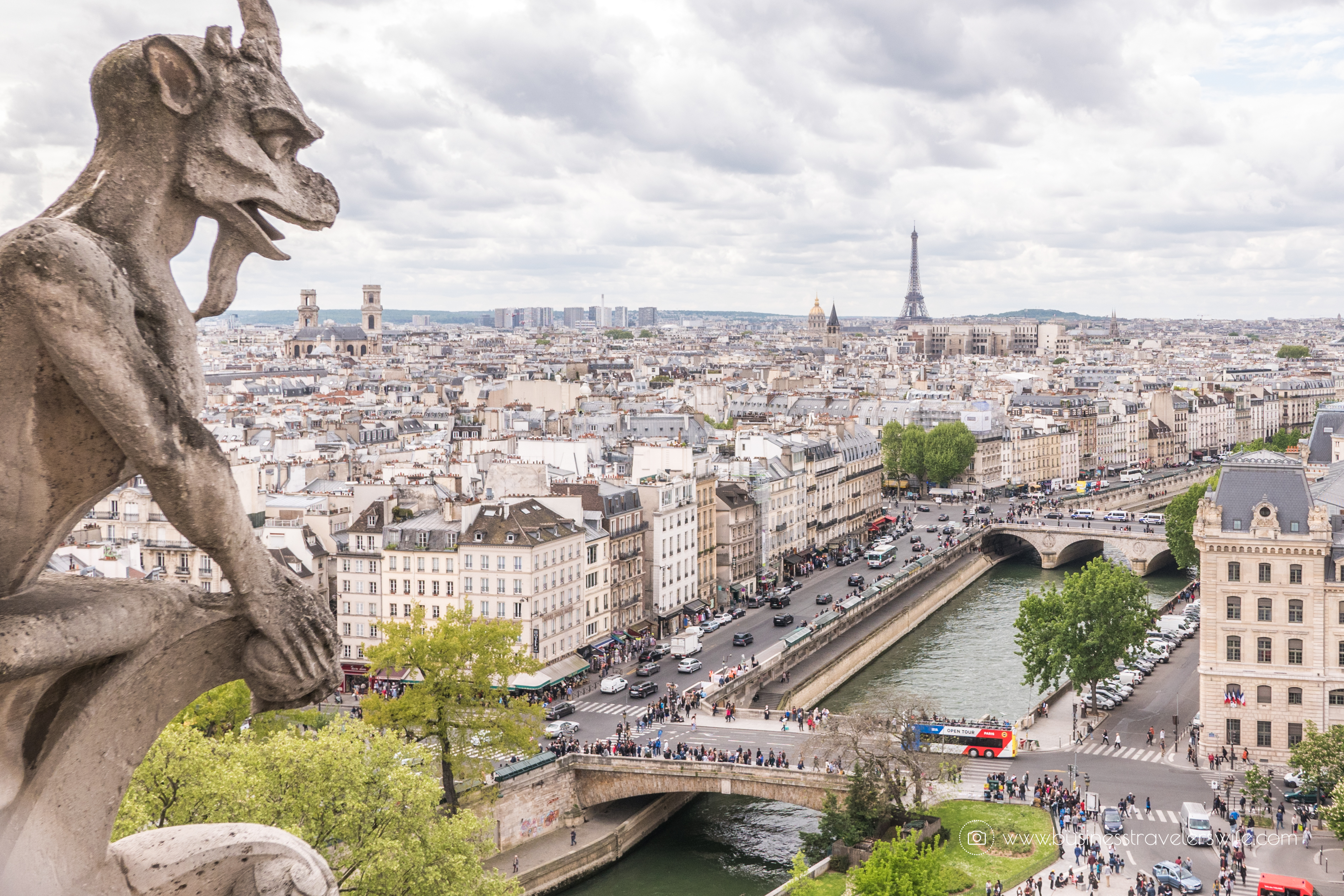 Beautiful Sights in Paris You Shouldn't Miss Gargoyle EIffel Tower View Notre-Dame Tower